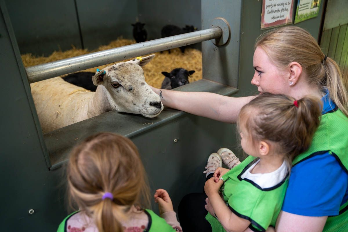 Adventure Valley Day Nursery – FAQ’s
